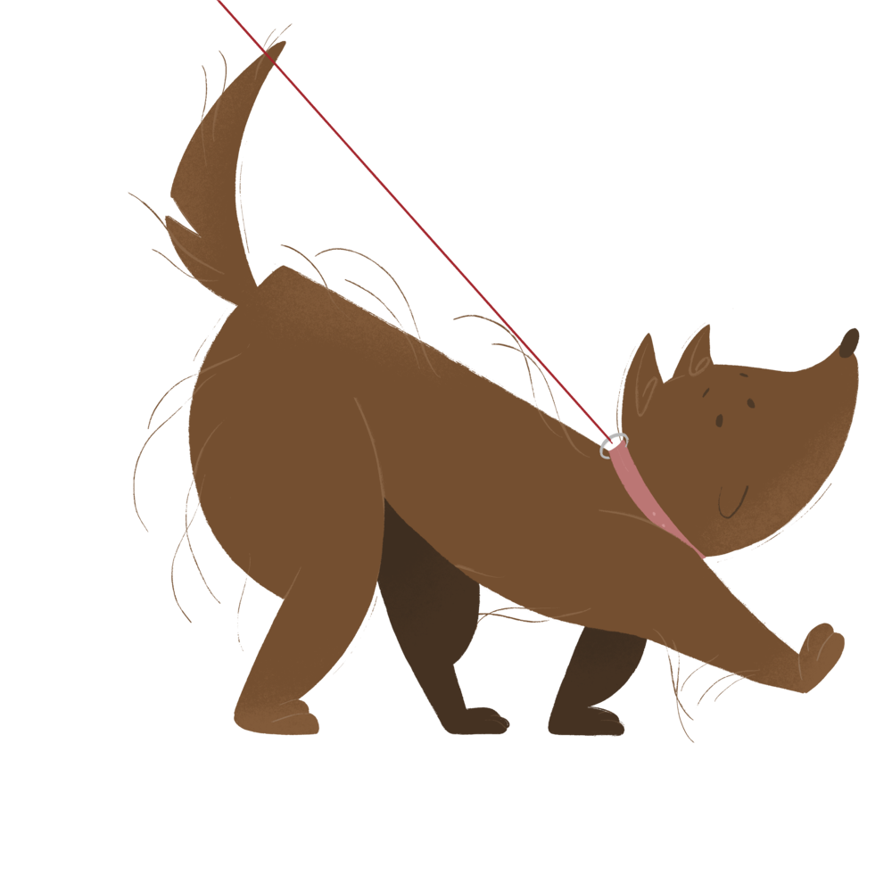 You receive quality service